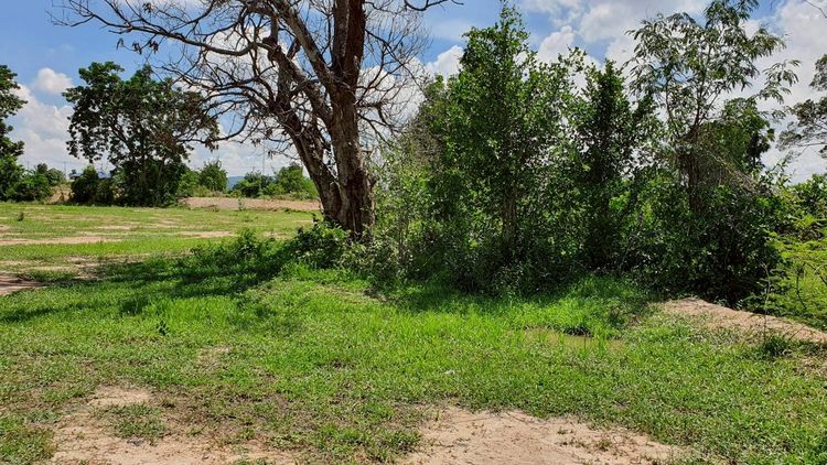 ขายที่ดิน ต.บ้านโข้ง อ.อู่ทอง สุพรรณบุรี รูปที่ 3