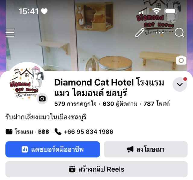 อื่นๆ 🐈โรงแรมแมวชลบุรี รับฝากแมว