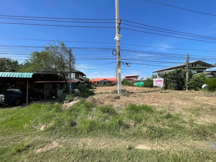 ที่ดินว่างเปล่า  เเก่งเลิงจาน บ้านหนองจิก สารคาม รูปที่ 2