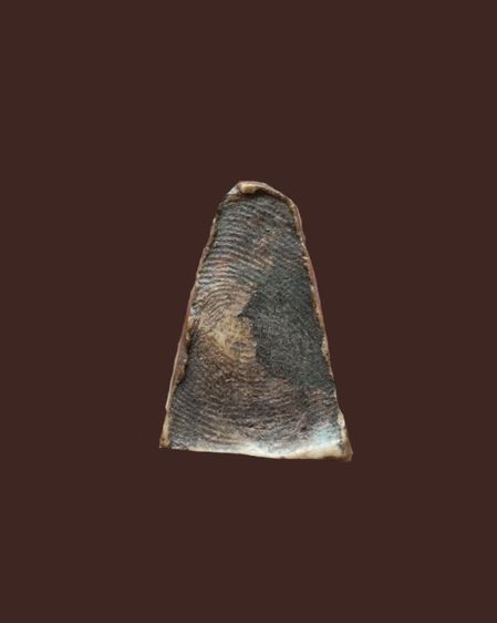 พระผงสุพรรณ พิมพ์หน้าแก่ (เนื้อดิน) รูปที่ 2