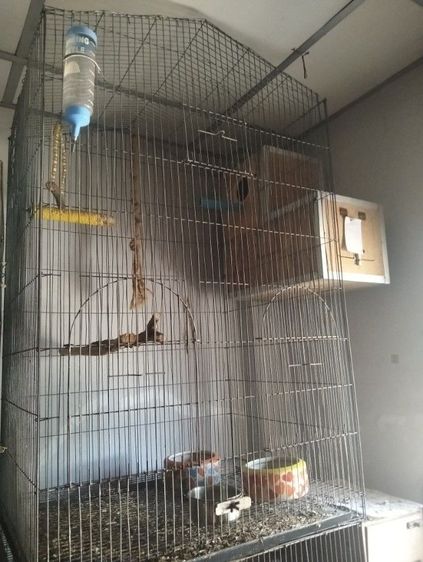 ซันคอนัวร์ คู่ ผู้เมีย รูปที่ 10