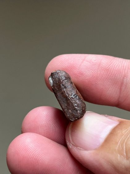 พระนางพญา รูปที่ 5