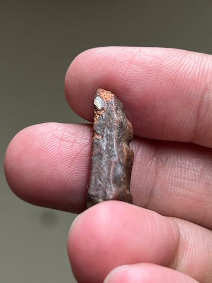 พระนางพญา รูปที่ 4