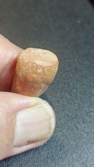 พระซุ้มกอพิมพ์พนมมือแถมพระรอด รูปที่ 12