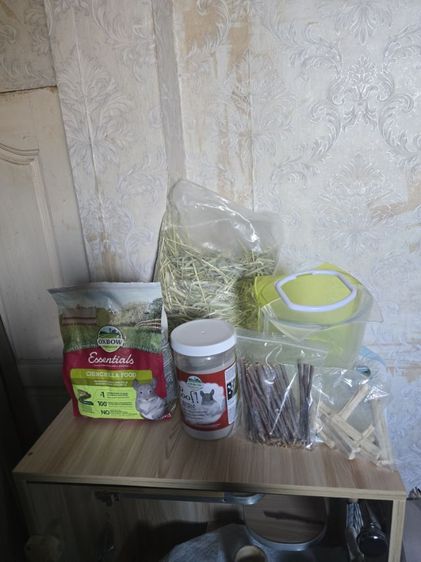 chinchilla สีพิเศษ พร้อมกรง รูปที่ 5