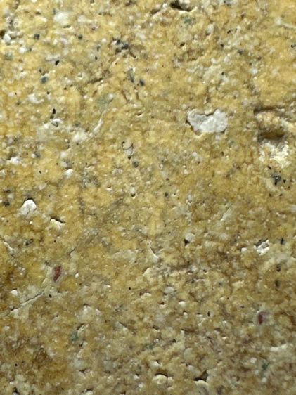 พระสมเด็จวัดระฆังพิมพ์ ใหญ่ เนื้อสีเหลืองอ่อน ส่งตามรูป (1)  รูปที่ 8