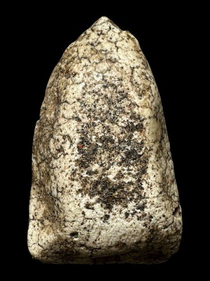 หลวงปู่ทวดเนื้อว่าน พิมพ์เอ หัวขีด ส่งตามรูป (4) รูปที่ 2