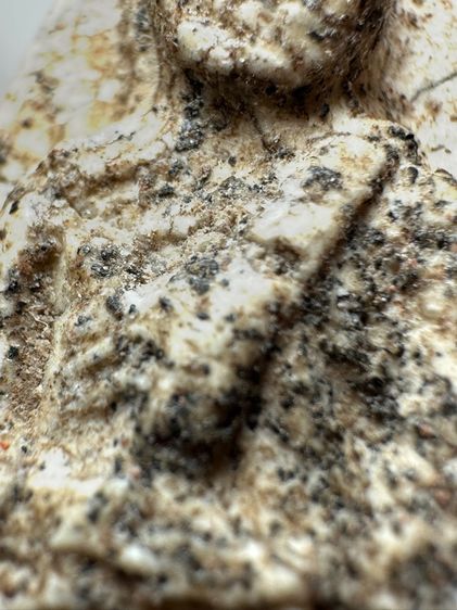 หลวงปู่ทวดเนื้อว่าน พิมพ์เอ หัวขีด ส่งตามรูป (4) รูปที่ 6