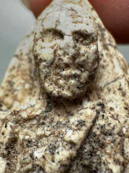 หลวงปู่ทวดเนื้อว่าน พิมพ์เอ หัวขีด ส่งตามรูป (4) รูปที่ 5