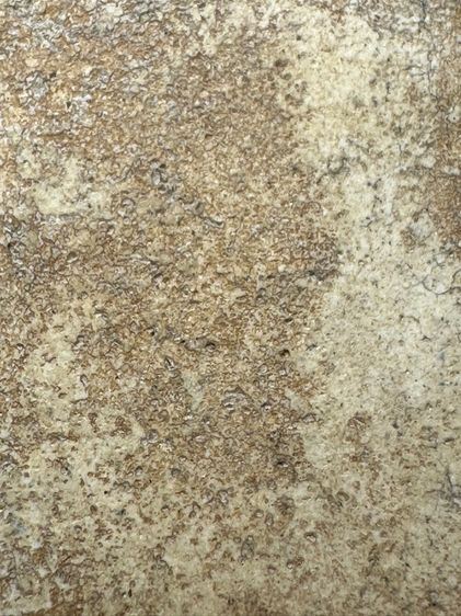 พระสมเด็จวัดระฆังพิมพ์ ปกโพธิ์เล็ก ส่งตามรูป (8) รูปที่ 8