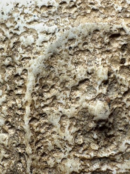 พระสมเด็จวัดเกตุพิมพ์เกศไชโยเจ็ดชั้น ส่งตามรูป (9) รูปที่ 5