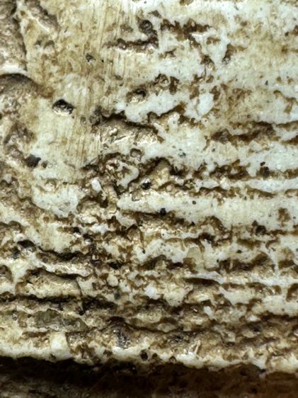 พระสมเด็จวัดเกตุพิมพ์เกศไชโยเจ็ดชั้น ส่งตามรูป (9) รูปที่ 7