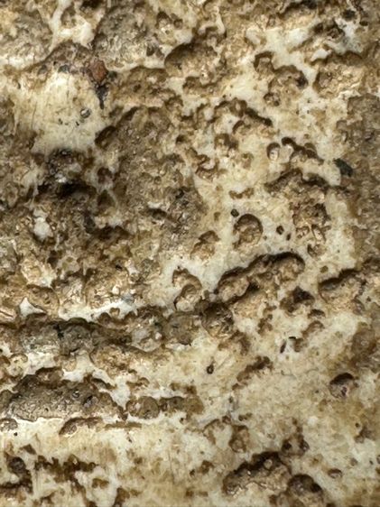 พระสมเด็จวัดเกตุพิมพ์เกศไชโยเจ็ดชั้น ส่งตามรูป (9) รูปที่ 6