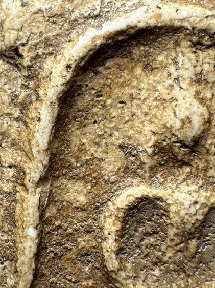 พระสมเด็จวัดระฆังพิมพ์ฐานคู่ ส่งตามรูป (10) รูปที่ 5