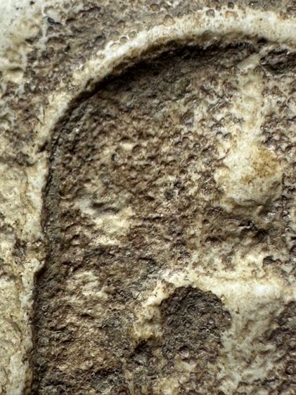 พระสมเด็จวัดระฆังพิมพ์ฐานคู่ ส่งตามรูป (12) รูปที่ 5