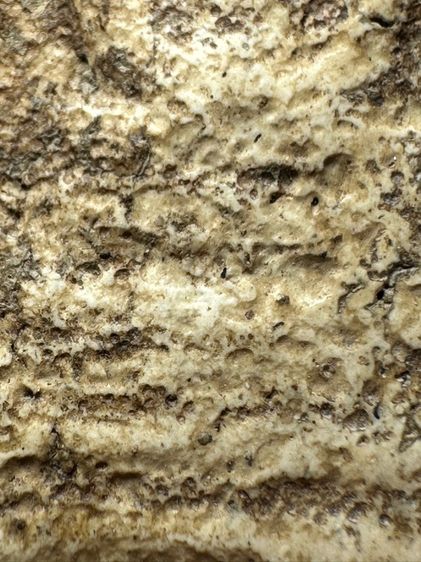 พระสมเด็จวัดระฆังพิมพ์ฐานคู่ ส่งตามรูป (12) รูปที่ 7