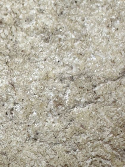 พระสมเด็จวัดระฆังพิมพ์เส้นด้าย ส่งตามรูป (13) รูปที่ 8