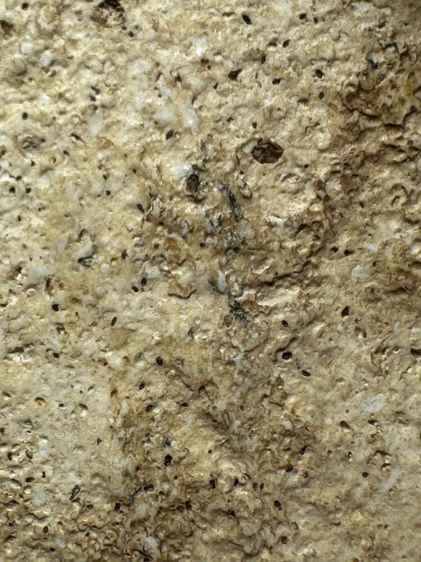 พระสมเด็จวัดระฆังพิมพ์ เส้นด้าย ส่งตามรูป (21) รูปที่ 8