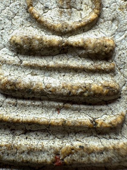 พระสมเด็จวัดระฆังพิมพ์ ฐานแซม ส่งตามรูป (22) รูปที่ 7