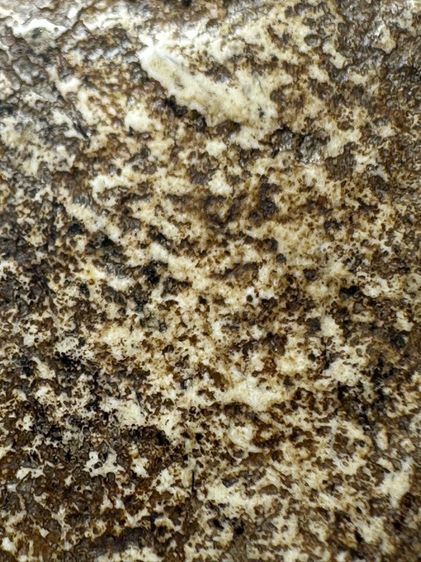 พระสมเด็จวัดระฆังพิมพ์ เกศไชโยหกชั้น ส่งตามรูป (19) รูปที่ 8