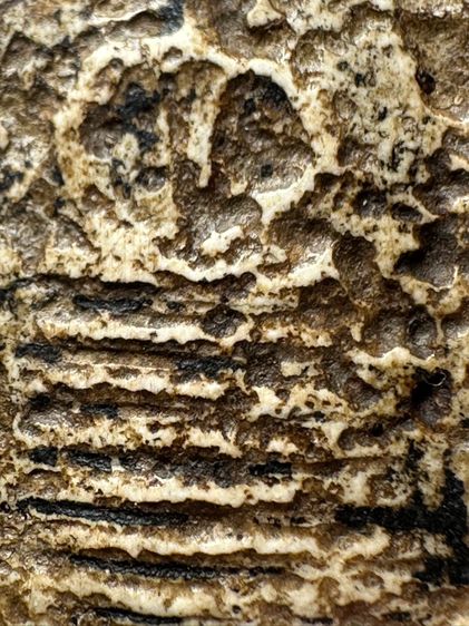 พระสมเด็จวัดระฆังพิมพ์ เกศไชโยหกชั้น ส่งตามรูป (19) รูปที่ 7