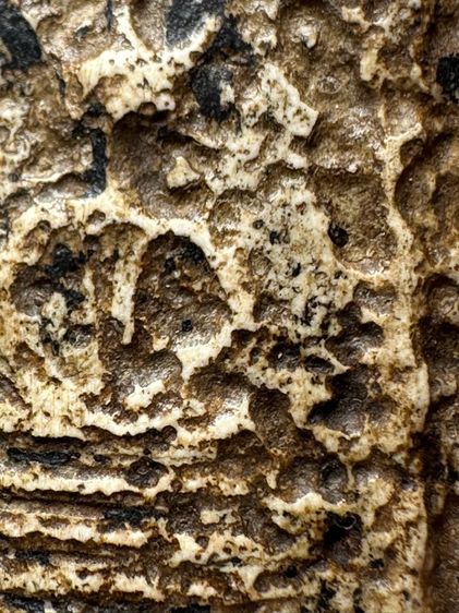 พระสมเด็จวัดระฆังพิมพ์ เกศไชโยหกชั้น ส่งตามรูป (19) รูปที่ 6