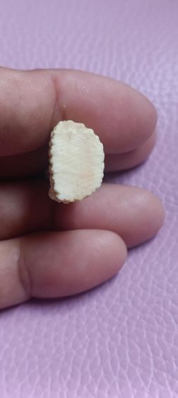 พระพุทธแกะหลวงพ่อมุ่ยวัดดอนไร่ รูปที่ 7