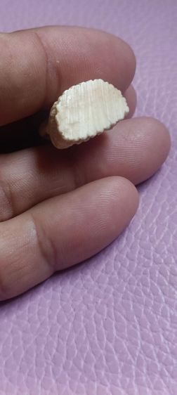 พระพุทธแกะหลวงพ่อมุ่ยวัดดอนไร่ รูปที่ 8