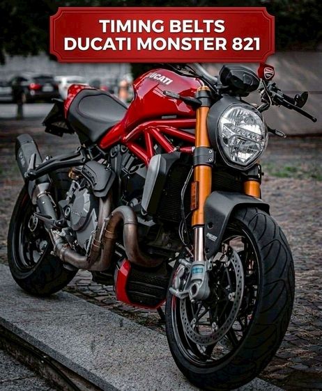 iming Belts สายพานใช้กับ Ducati Monster 821 (ราคาต่อเส้น)