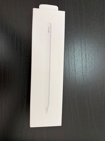 Apple .Pencil USB - C