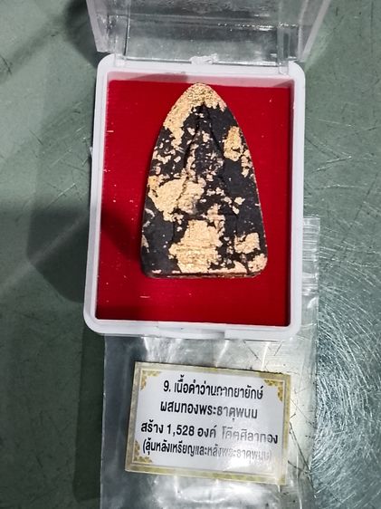 หลวงปู่ทวด (ปู่ศิลา) ออกวัดพระธาตุพนม  รูปที่ 2