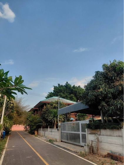 มีบางส่วน 2020 บ้านพร้อมที่ดิน เขาใหญ่ 100 ตรว. 🏡 รูปที่ 3