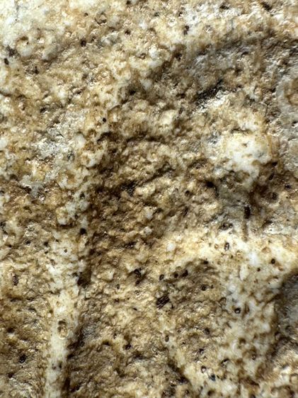 พระสมเด็จวัดระฆังพิมพ์เส้นด้าย ส่งตามรูป (25) รูปที่ 5