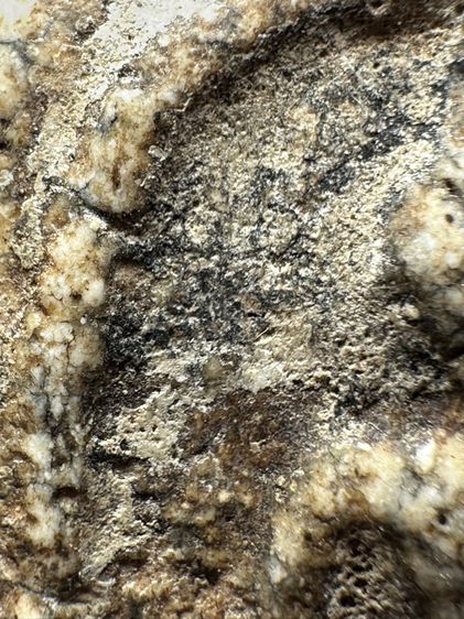 พระสมเด็จวัดระฆังพิมพ์ใหญ่ ส่งตามรูป (A27) รูปที่ 5