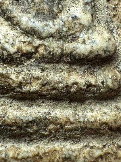 พระสมเด็จวัดระฆังพิมพ์ใหญ่ ส่งตามรูป (A27) รูปที่ 7