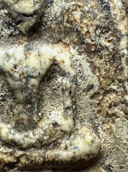 พระสมเด็จวัดระฆังพิมพ์ใหญ่ ส่งตามรูป (A27) รูปที่ 6