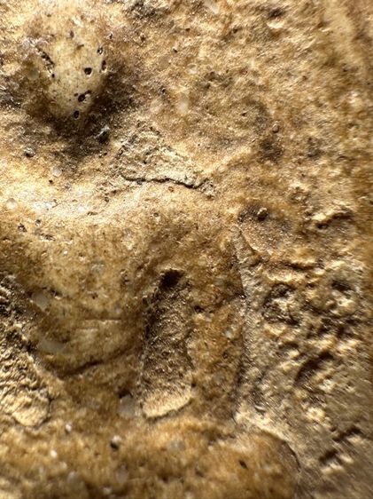 พระสมเด็จวัดระฆังพิมพ์ใหญ่ ส่งตามรูป (26) รูปที่ 6