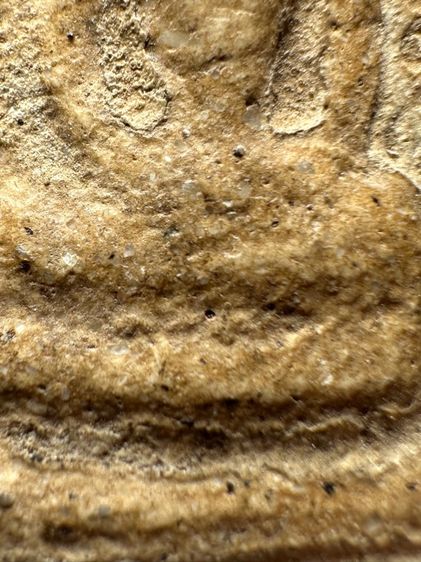 พระสมเด็จวัดระฆังพิมพ์ใหญ่ ส่งตามรูป (26) รูปที่ 7