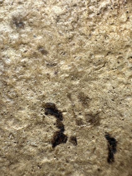 พระสมเด็จวัดระฆังพิมพ์ใหญ่ ส่งตามรูป (26) รูปที่ 8