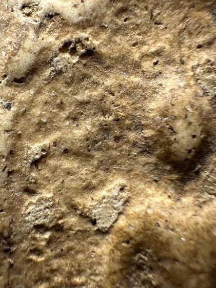 พระสมเด็จวัดระฆังพิมพ์ใหญ่ ส่งตามรูป (26) รูปที่ 5