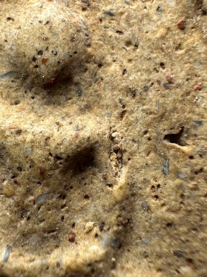 พระสมเด็จวัดระฆังพิมพ์ใหญ่ เนื้อกรวดทราย ส่งตามรูป (28) รูปที่ 6