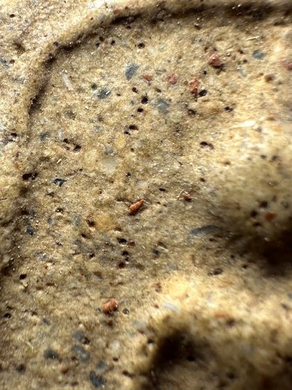 พระสมเด็จวัดระฆังพิมพ์ใหญ่ เนื้อกรวดทราย ส่งตามรูป (28) รูปที่ 5