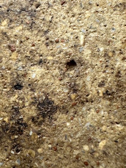 พระสมเด็จวัดระฆังพิมพ์ใหญ่ เนื้อกรวดทราย ส่งตามรูป (28) รูปที่ 8