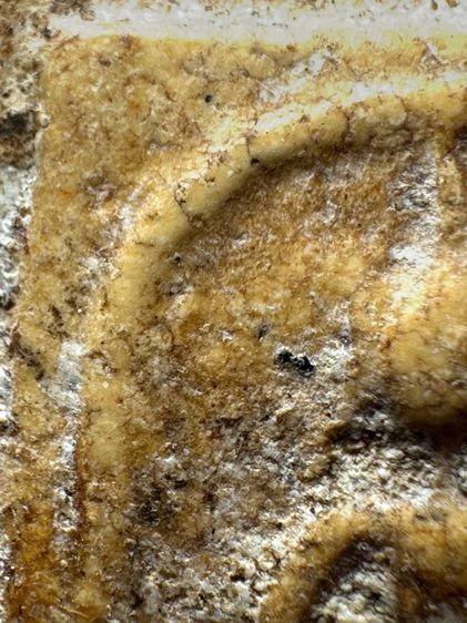 พระสมเด็จพิมพ์เกศไชโยหกชั้น ส่งตามรูป (29) รูปที่ 5