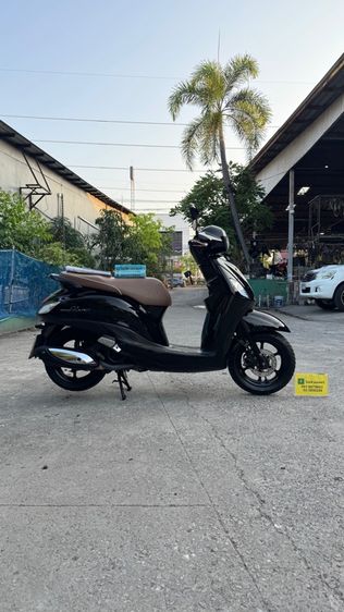 YAMAHA GRAND FILANO สภาพรถเดิมๆ  เครื่องดีมาก สีสวยมาก ต้องมาดูของจริงมีสถานที่ให้ทดลองขับขี่ก่อนซื้อ รูปที่ 3