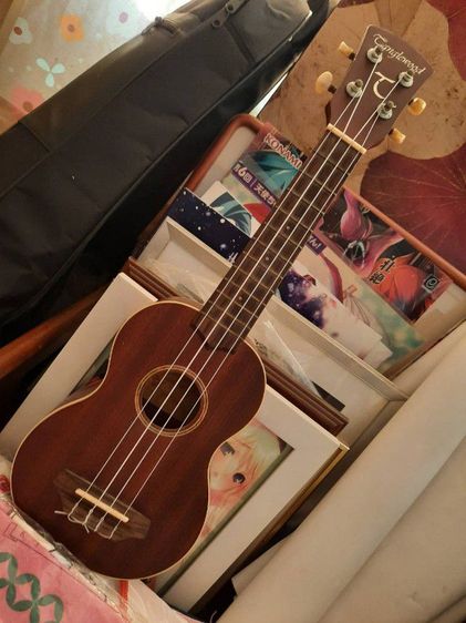 เมโลเดียน อูคูเลเล่ ขลุ่ยญี่ปุ่น ส่ง 50 รูปที่ 7