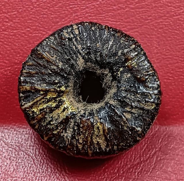 ตะกรุดพิสมรหลวงพ่อแก้ววัดพวงมาลัย