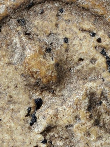 สวยสุด,สมบัติบ้าน พระสมเด็จวัดระฆัง พิมพ์ใหญ่ เก่า มีมวลสาร