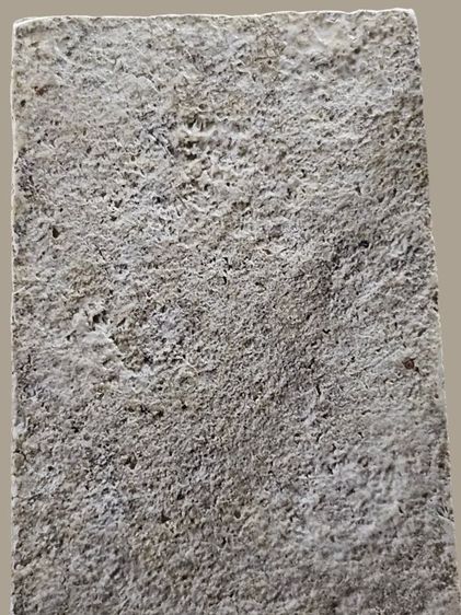 พระสมเด็จ วัดบางขุนพรหม พิมพ์เกศบัวตูม กรุเก่า จ.กรุงเทพฯ


 รูปที่ 7