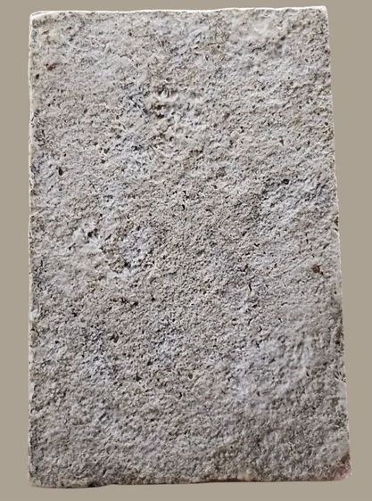 พระสมเด็จ วัดบางขุนพรหม พิมพ์เกศบัวตูม กรุเก่า จ.กรุงเทพฯ


 รูปที่ 6